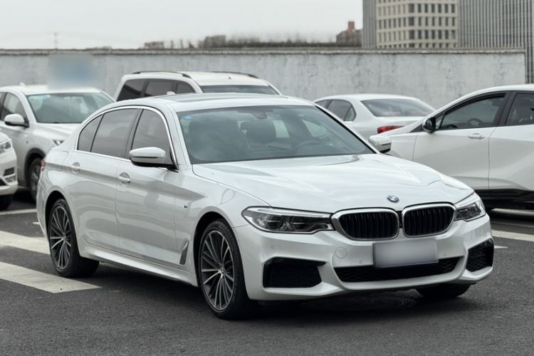 Used BMW 5 Series 2020 530Li Luxury Edition M Sport Package Exterior 12