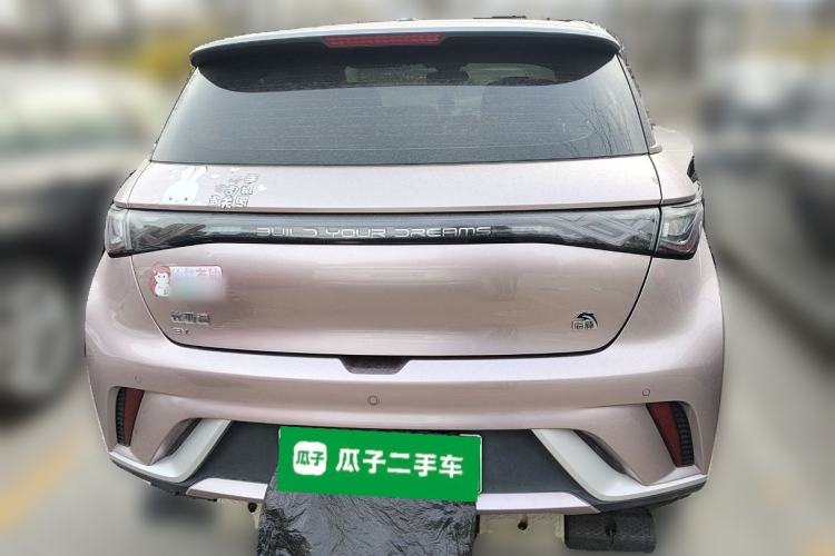 Used BYD Dolphin 2021 405 km Fashion Edition Rear