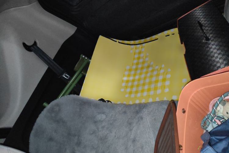 Used Chery Little Ant 2021 200 000 Yuan "Ant Fan" Edition Energized Version NMC Lithium Battery 301 km