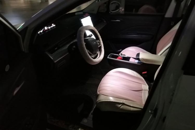 Used NETA V 2022 Chao 300 Lite Lithium Iron Phosphate