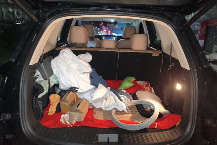 Used Landian E5 PLUS 2025 165 km Long-Range Version PLUS 7-Seater
