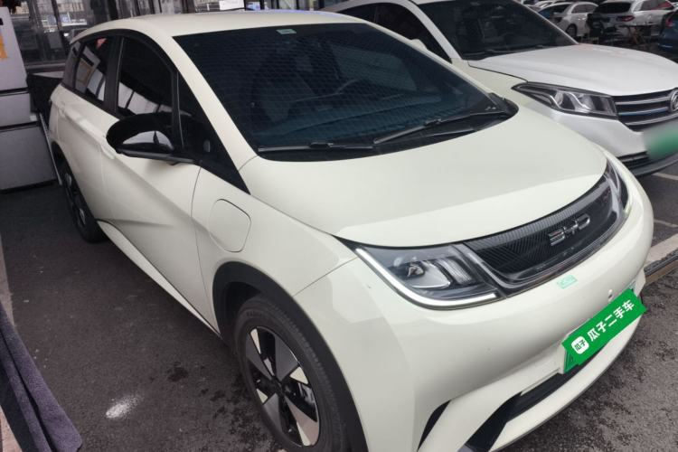 Used BYD Dolphin 2023 420 km Free Version

