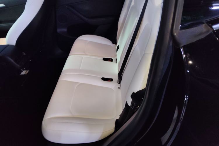 Used Tesla Model Y 2021 Standard Range Rear-Wheel Drive Version Left Rear Seat