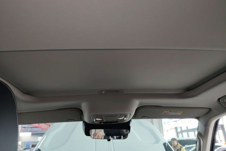 Used Tank 300 2023 2.0T Iron Rider 02