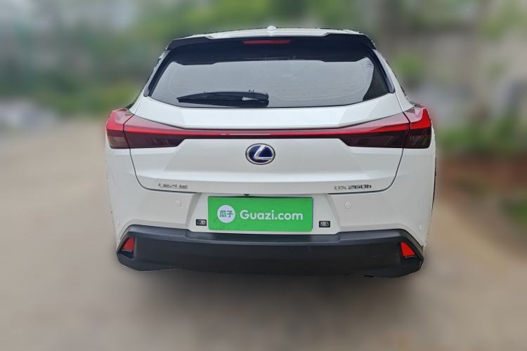 Used Lexus UX 2020 260h Explore-Cool Edition Rear