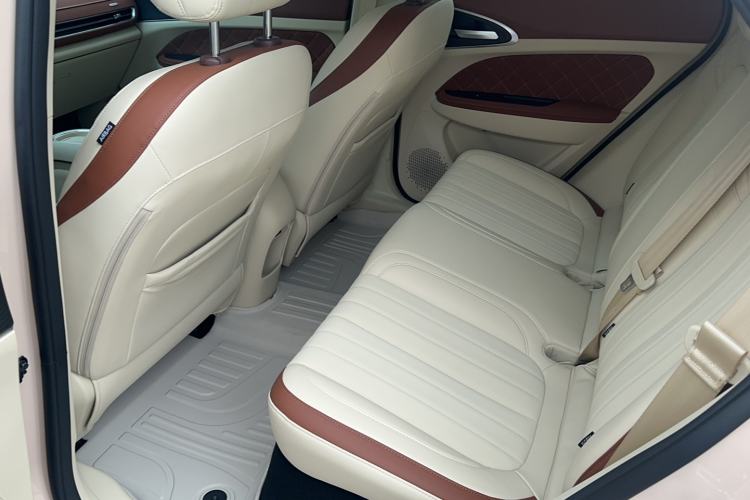 Used ORA Good Cat 2023 401 km Standard Range Luxury Version Ternary Lithium
