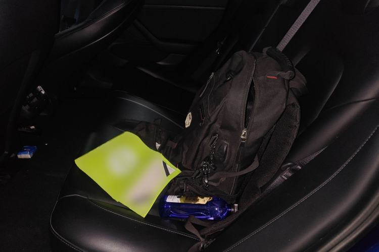 Used Tesla Model 3 2020 Long-Range Rear-Wheel-Drive Version Left Rear Seat