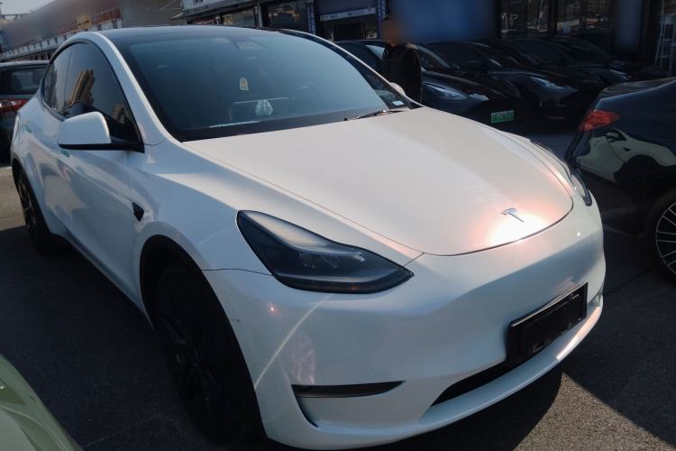 Used Tesla Model Y 2021 Standard Range Rear-Wheel Drive Version
