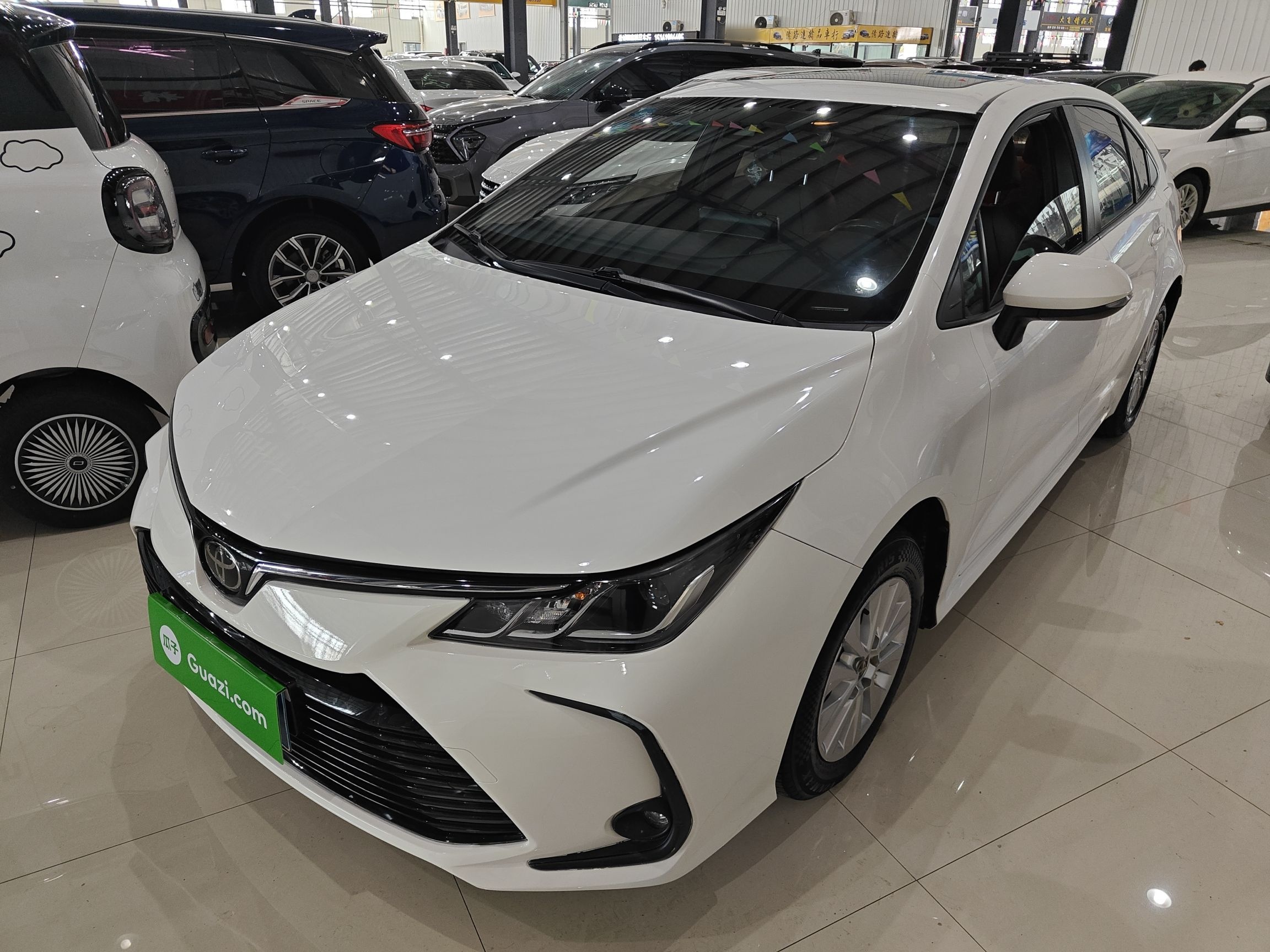 Parte inferior delantera