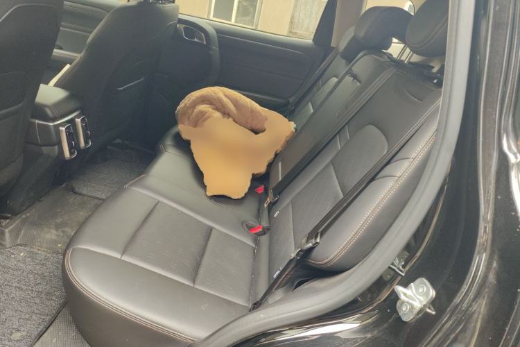 Used Haval DARGO 2024 2.0T DCT Chinese Rural Dog Edition