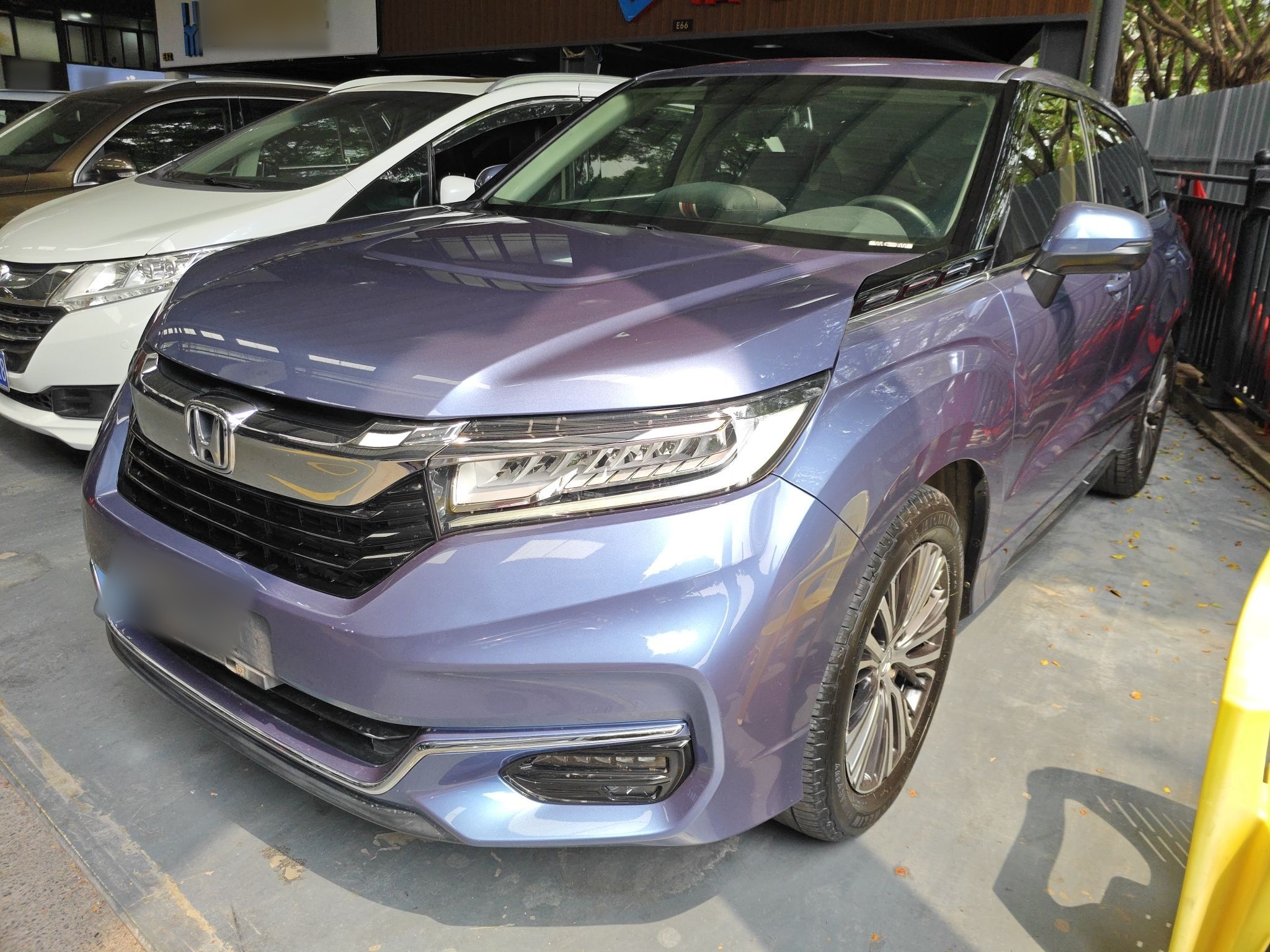 Parte inferior delantera