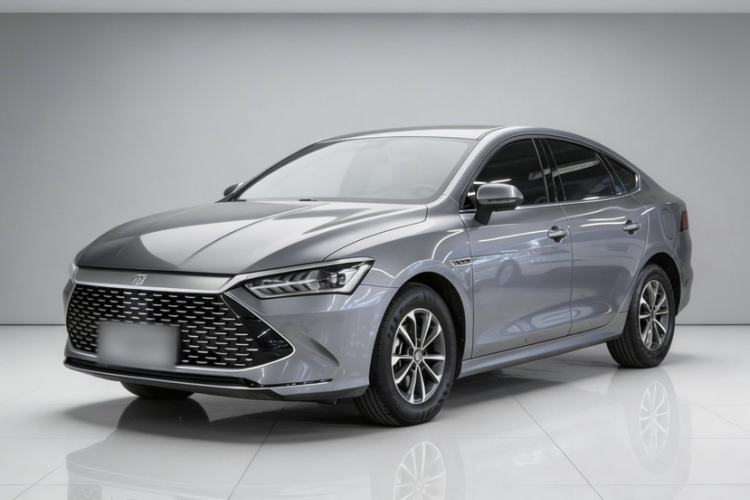 Used BYD Qin PLUS 2023 Champion Edition DM-i 55KM Leading Model