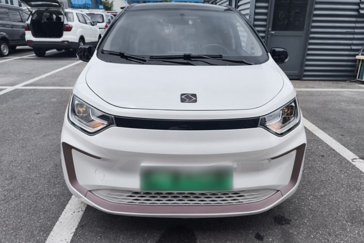 Used SOL E10X 2022 Flower Fairy Style Baby's Breath