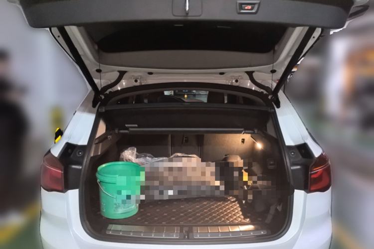 Used BMW X1 2018 xDrive20Li Luxury Model Trunk