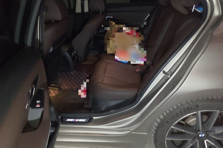 Used BMW 3 Series 2020 320Li M Sport Package
