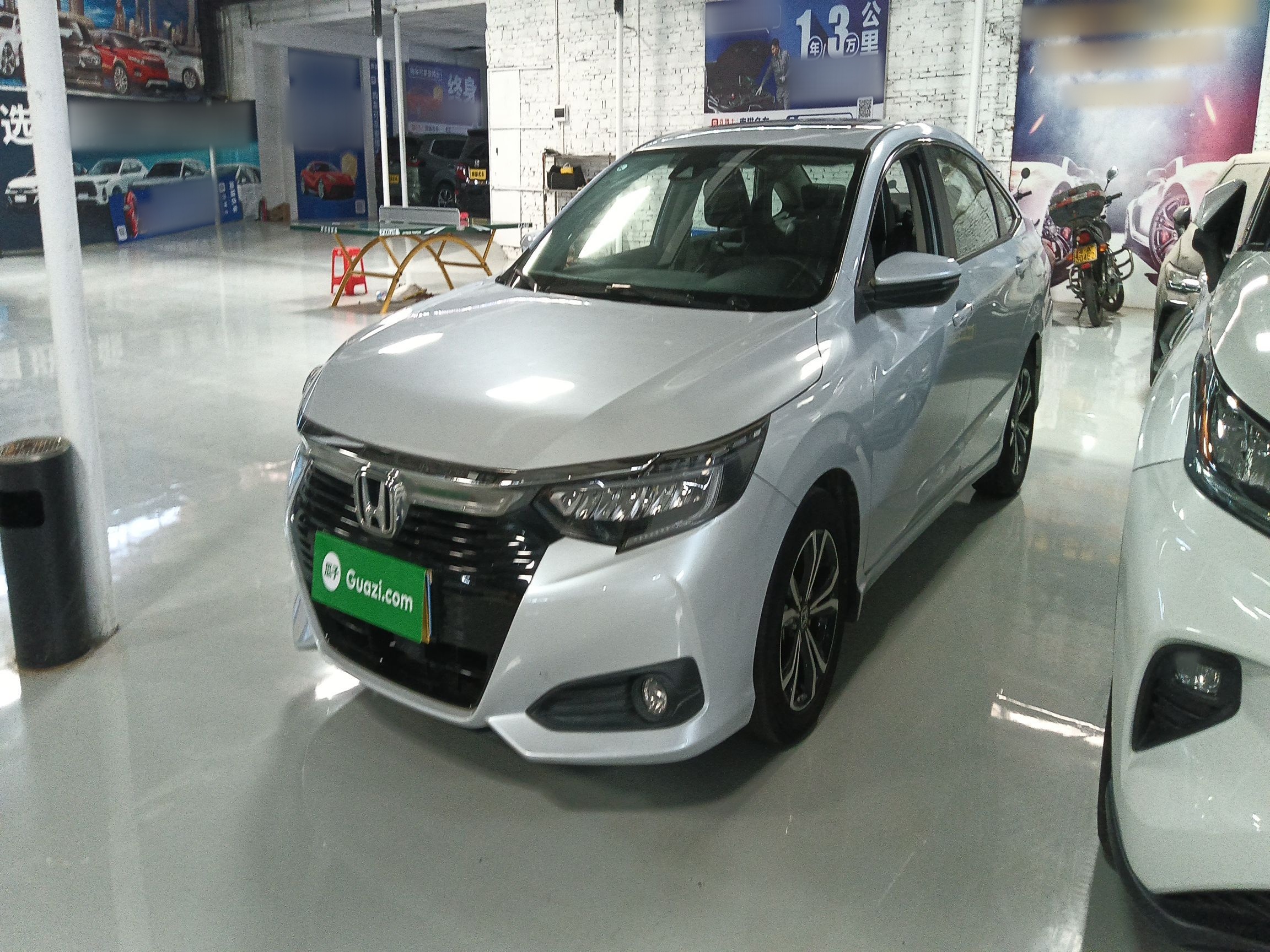 Parte inferior delantera