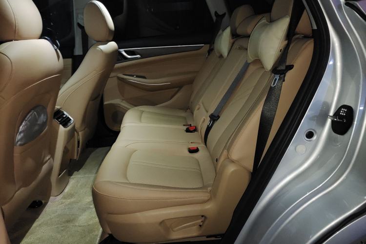 Used Landian E5 2024 Honor Edition 100KM Premium Model 7 Seats
