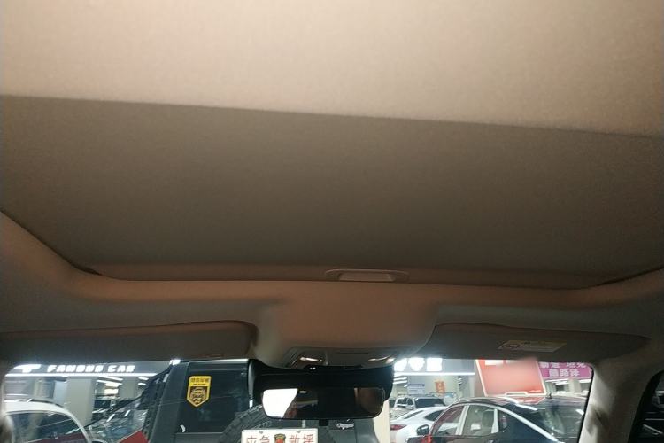 Used Tank 300 2024 2.0T Conqueror
