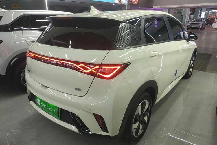 Used BYD Dolphin 2025 420km Free Edition Rear Right 45 Deg