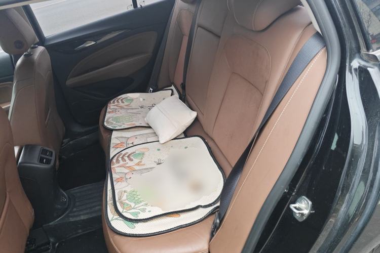 Used Buick Regal 2019 20T Elite Version China VI Standard