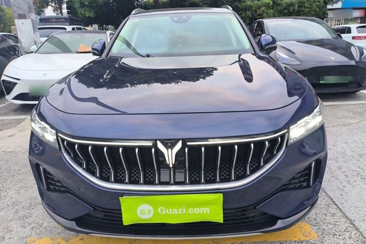 Used VOYAH FREE 2021 Four-Wheel Drive Extended-Range First Edition Commemorative Edition Exclusive Luxury Package Front