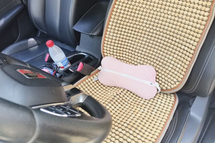 Used Roewe Ei5 2018 Internet Flagship Edition Left Front Seat