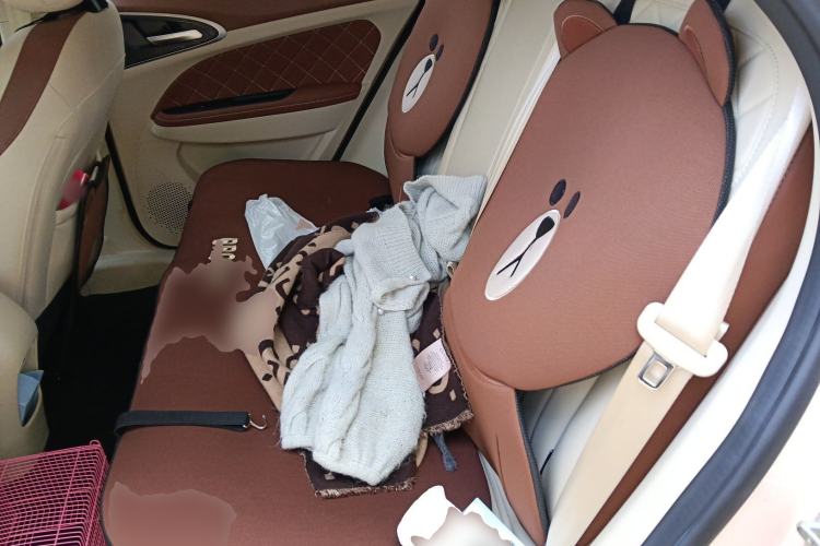 Used ORA Good Cat 2023 401 km Standard Range Luxury Version Lithium Iron Phosphate
