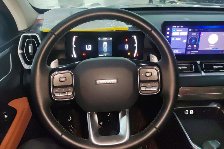 Used Haval H5 2023 2.0T Automatic Two-Wheel Drive LinkedIn Gasoline