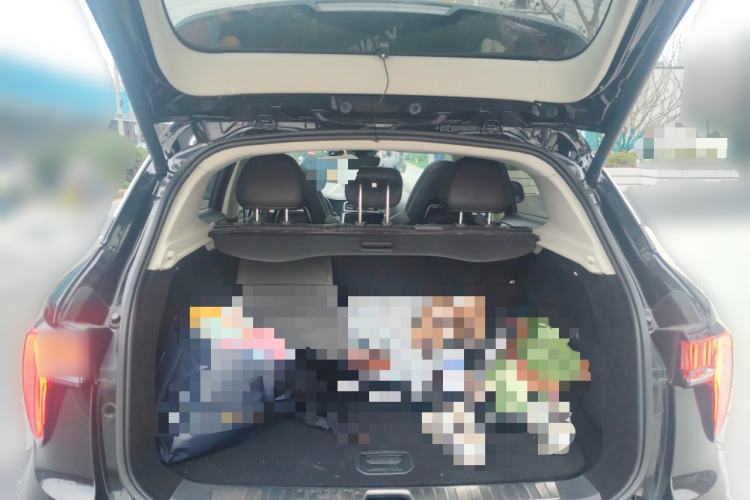 Used Lynk & Co 01 2019 2.0T Two-Wheel-Drive Pro Version China VI Standard
