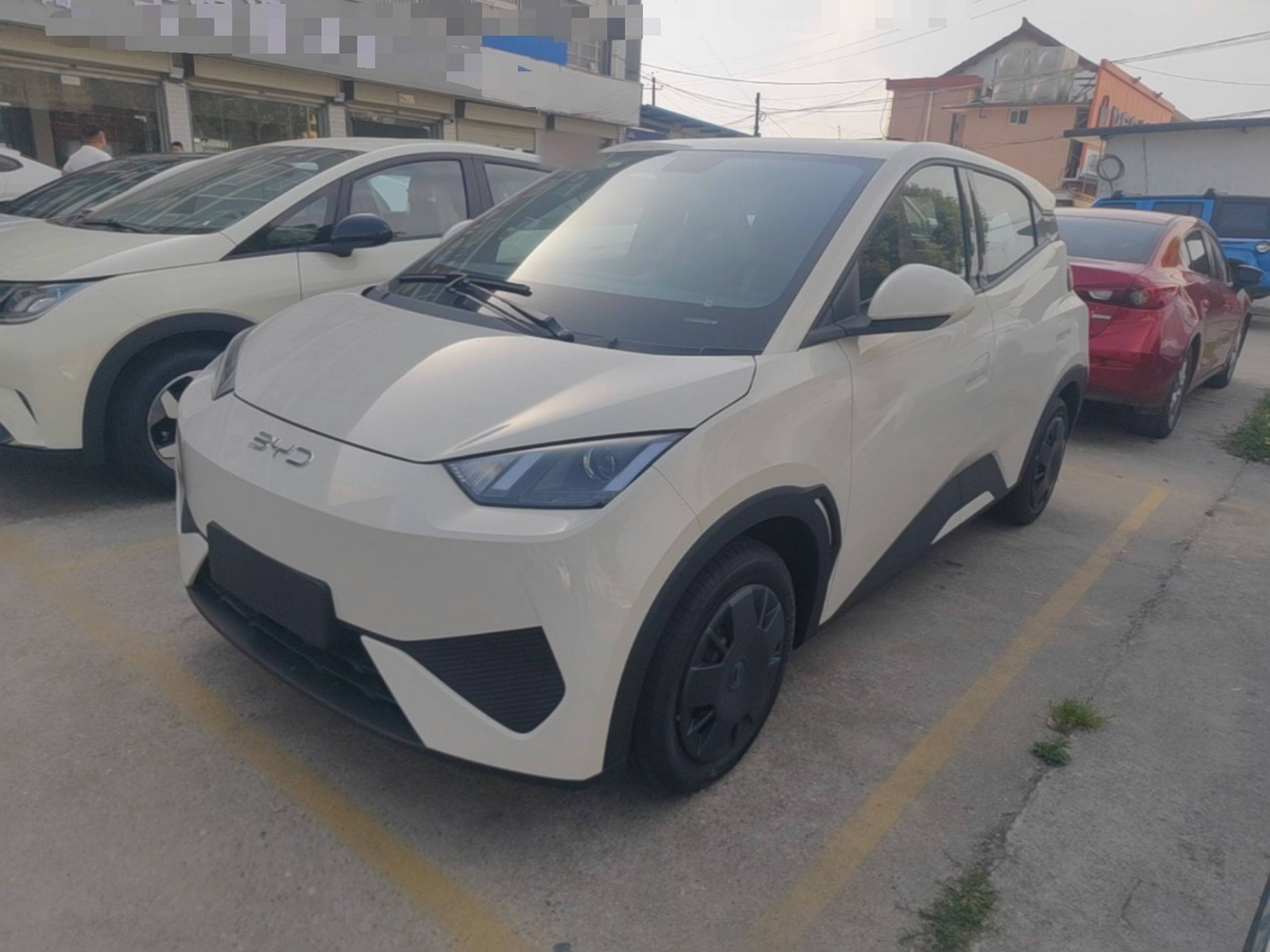Parte inferior delantera