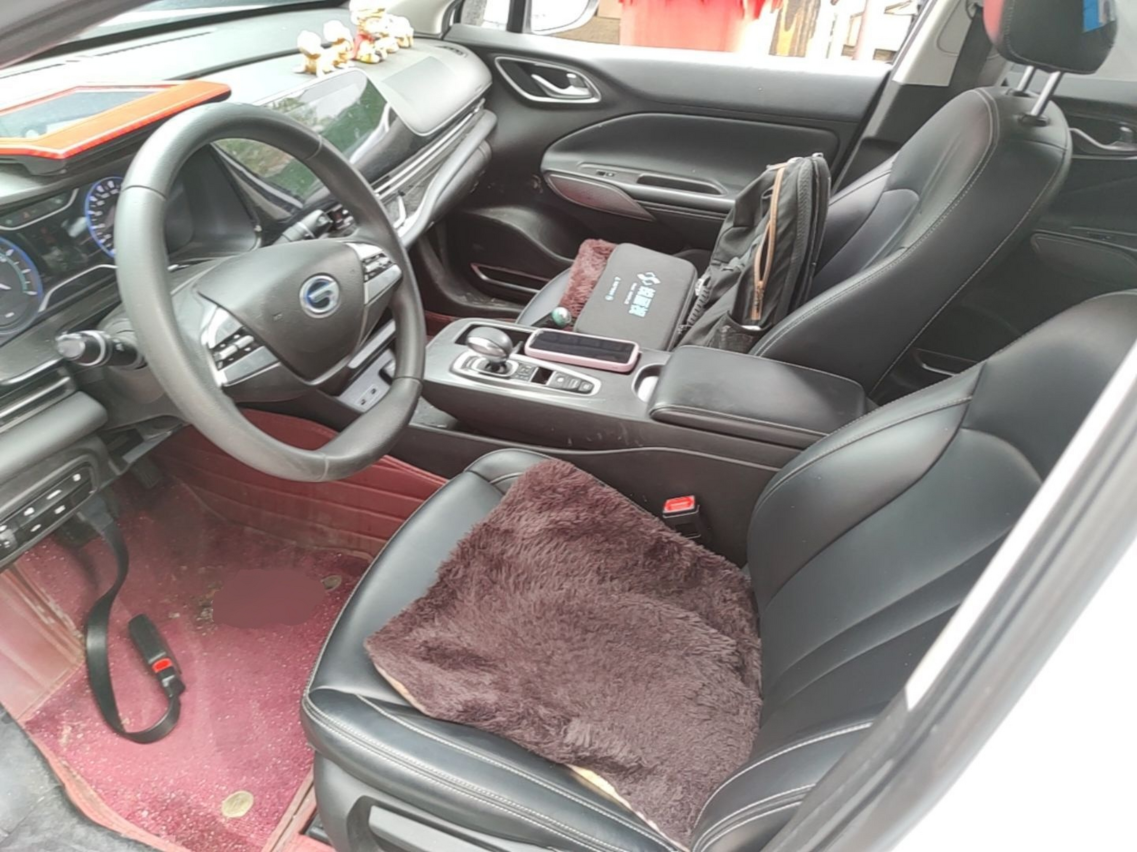 Interior delantero