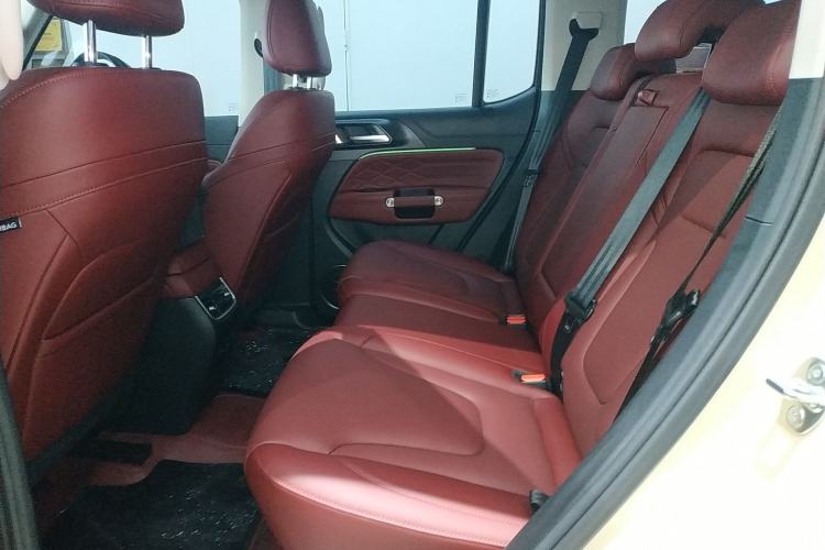 Used Tank 300 2025 2.0T Conqueror Left Rear Seat