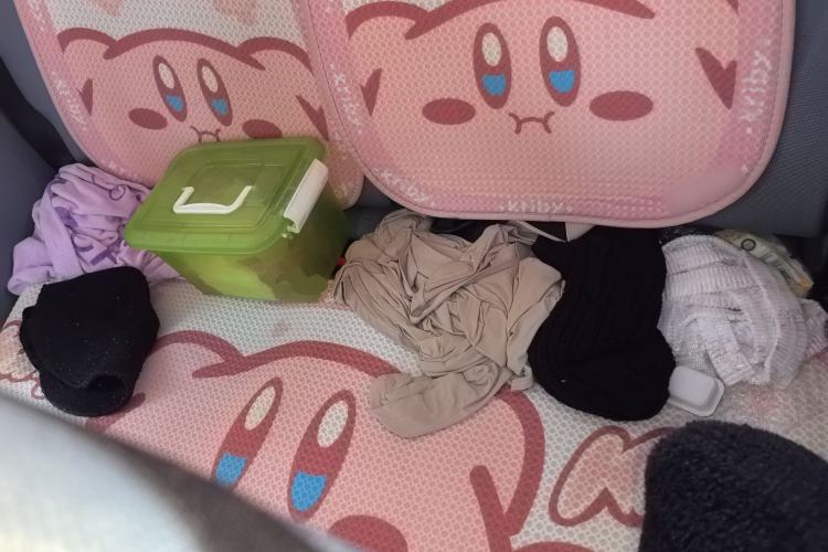 Used Bestune Pony 2024 170km Vitality Horse