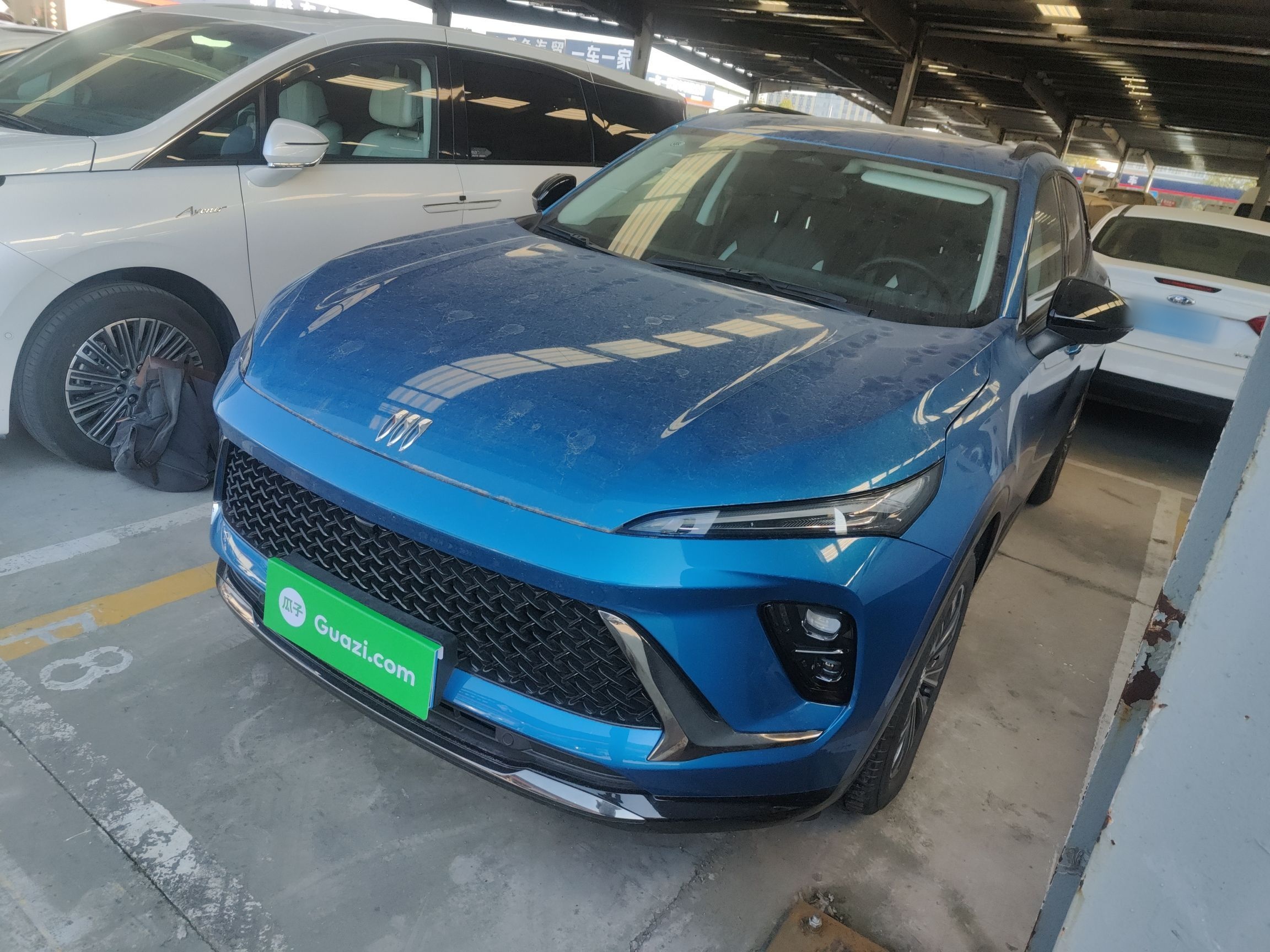 تحت مقدمة السيارة