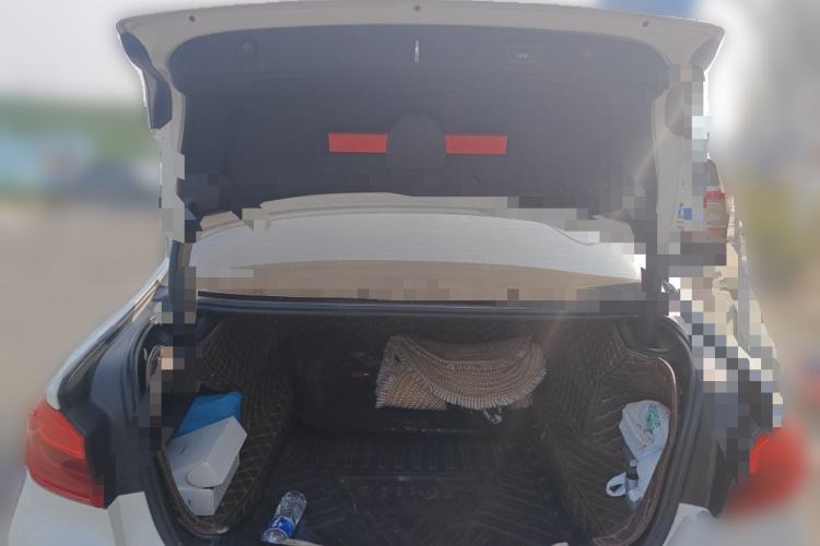 Used BMW 5 Series 2020 530Li xDrive Luxury Package
