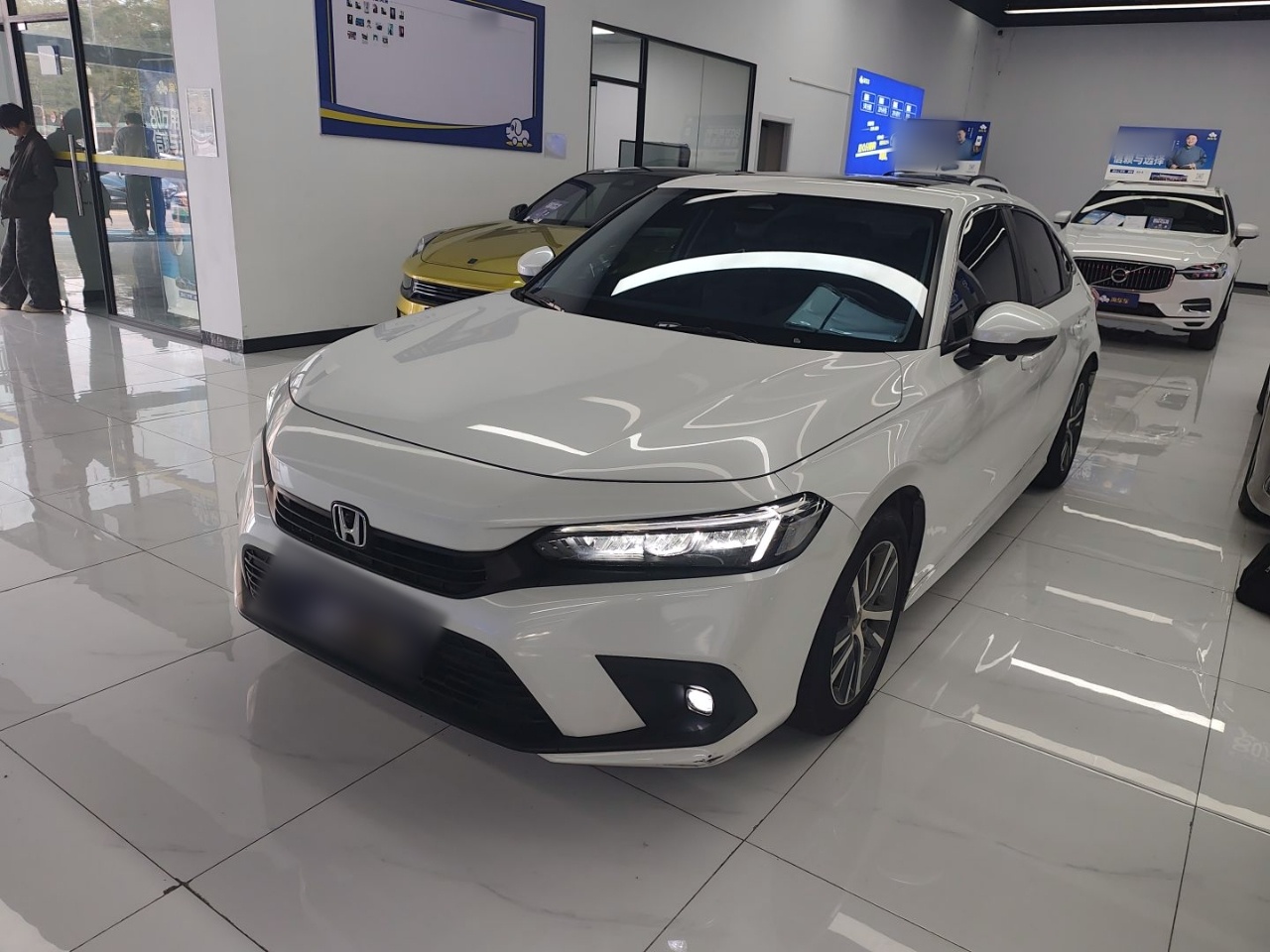 تحت مقدمة السيارة