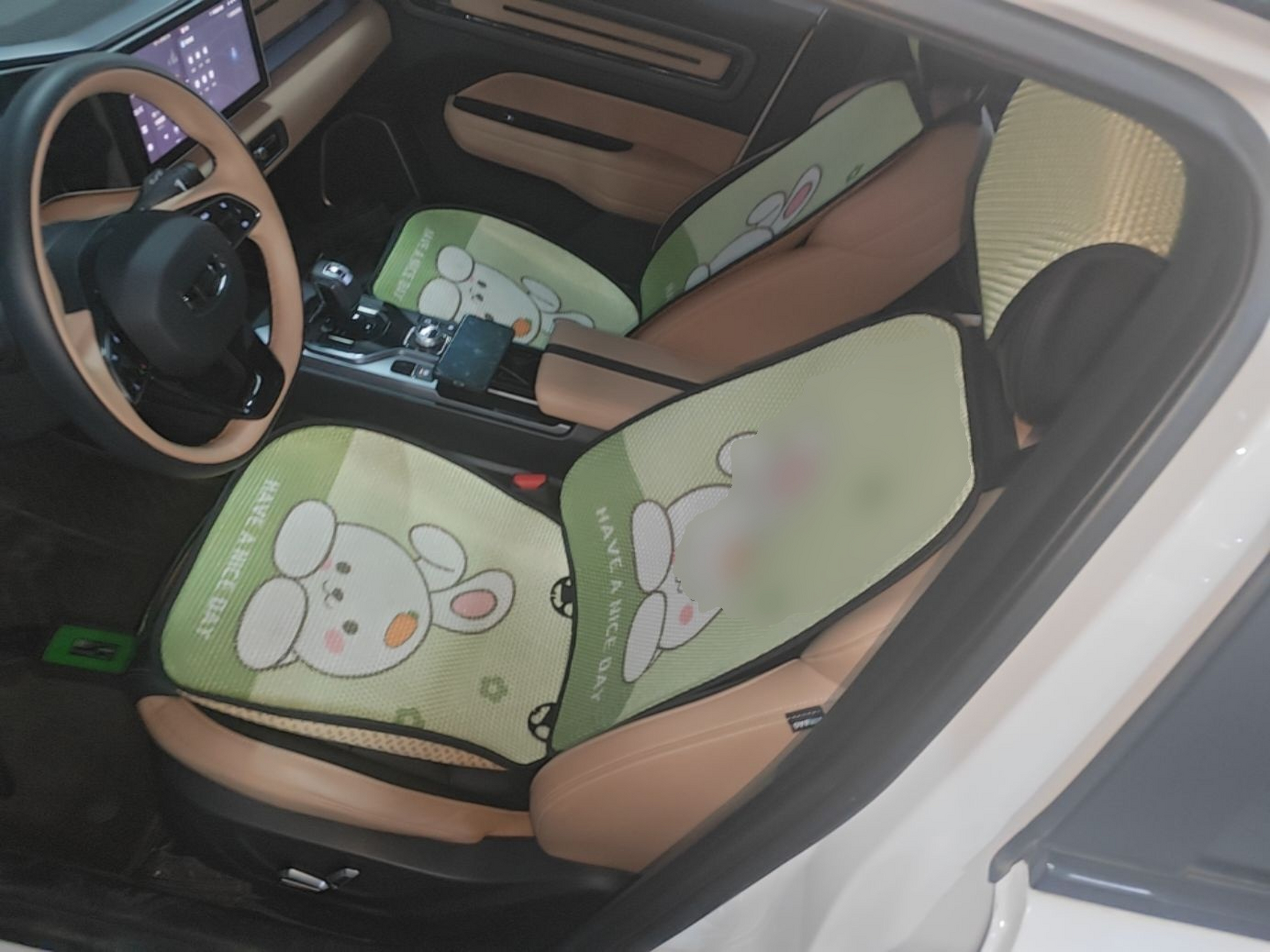 Interior delantero