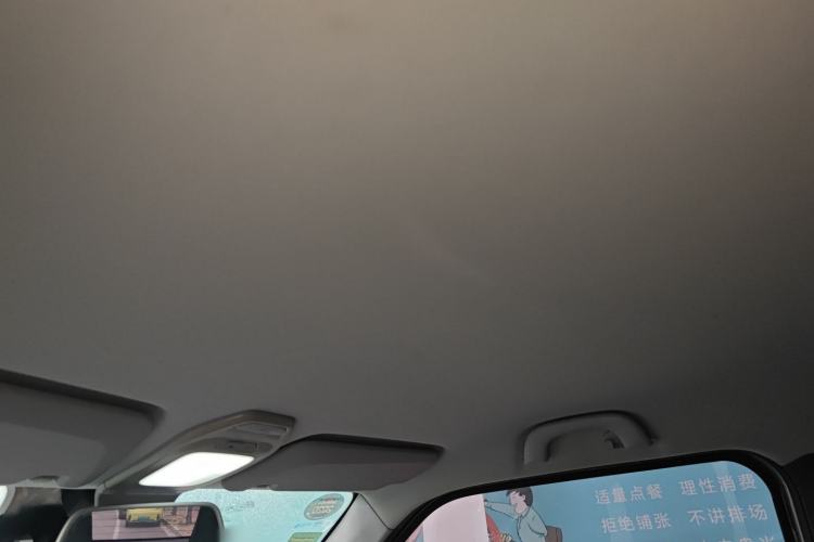 Used Baojun E200 2019 250KM Smart Drive Edition Headliner