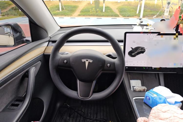 Used Tesla Model Y 2021 Standard Range Rear-Wheel Drive Version Steering Wheel