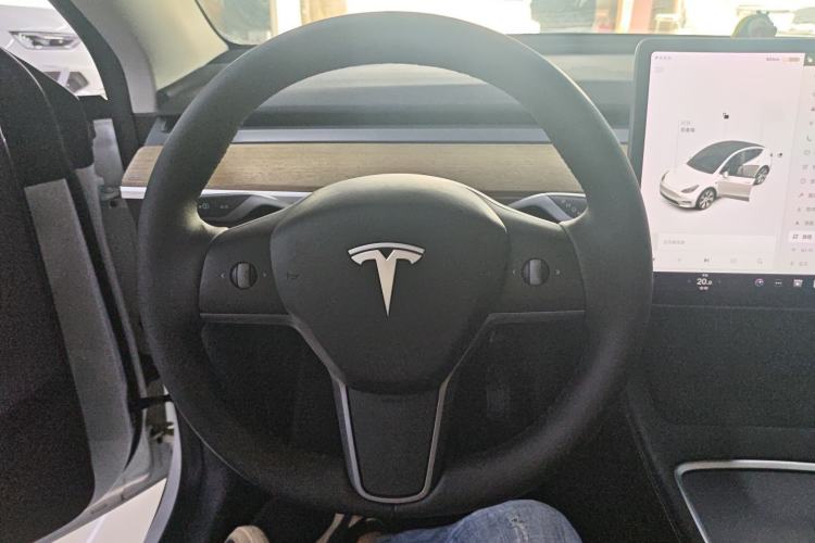 Used Tesla Model Y 2021 Standard Range Rear-Wheel Drive Version Steering Wheel