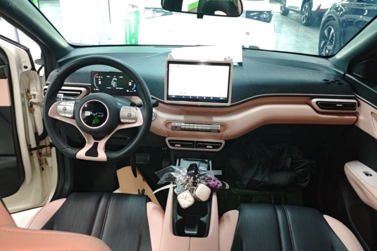 Used BYD Seagull 2025 305 km Free Version Center Console