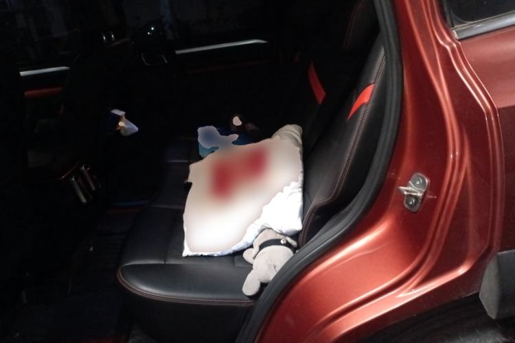 Used Haval DARGO 2021 1.5T DCT Two-Wheel Drive Border Collie Edition
