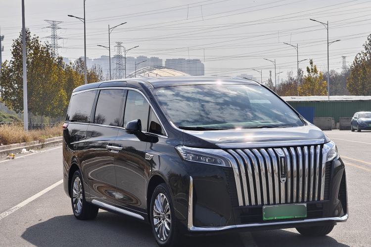 Used Wey Gaoshan 2023 Four-Wheel-Drive Executive Extended Version