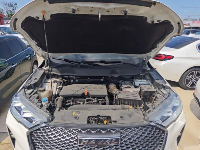 Used Haval H6 2021 3rd Generation 1.5T Automatic Two-Wheel Drive Max — 19