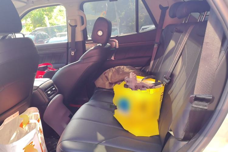 Used Tank 400 New Energy 2023 Hi4-T Super Edition
