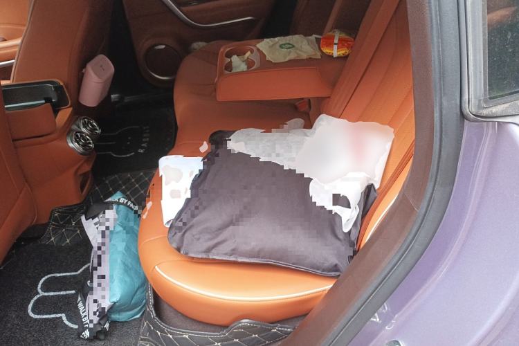 Used ORA Lightning Cat 2022 555 km Luxury Edition