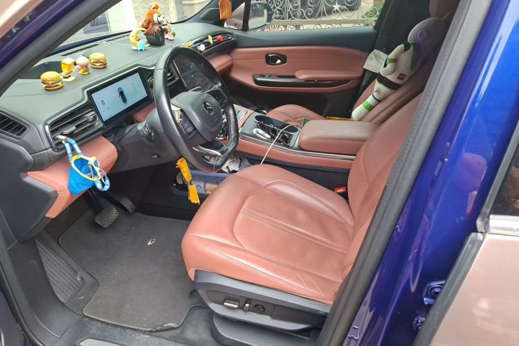 Used Nio EC6 2020 605 km Sport Edition Left Front Seat