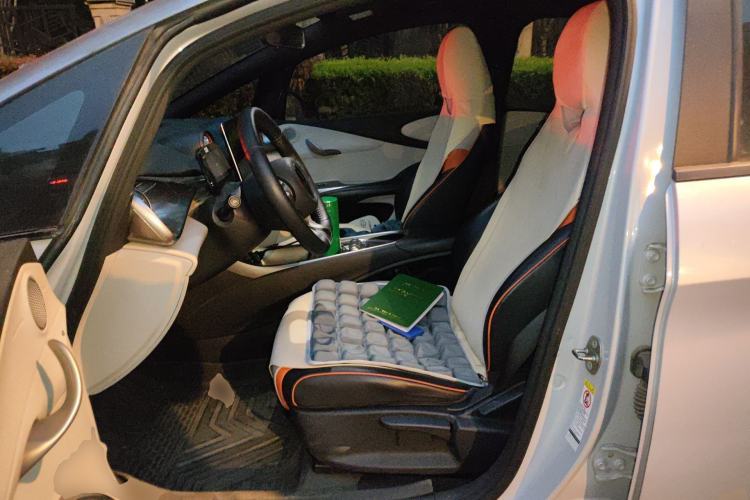 Used BYD Dolphin 2021 405 km Free Version Left Front Seat