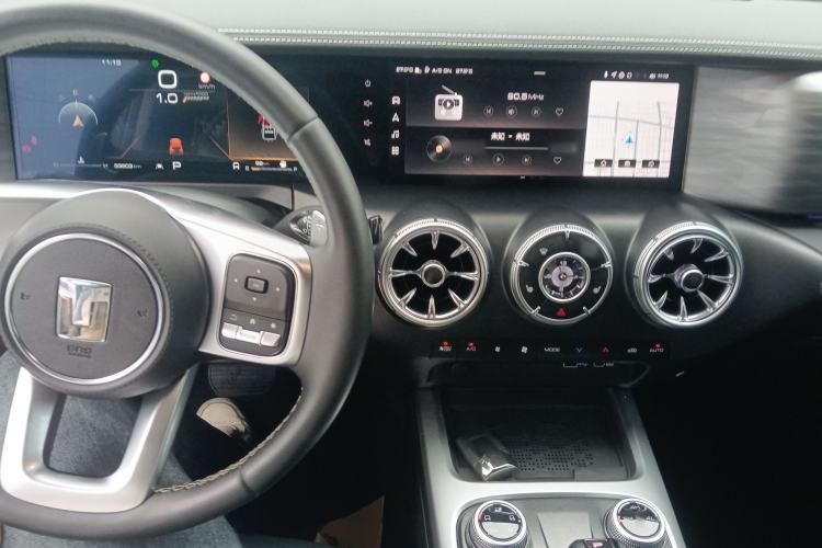 Used Tank 300 2024 2.0T Conqueror
