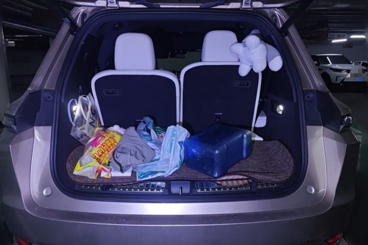 Used Li Auto L9 2022 Max model
